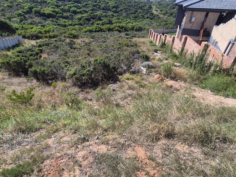 A sloped residential vacant land plot featuring natural vegetation, bordered by existing brick boundary walls and adjacent residential property.