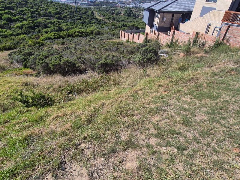 A sloped residential vacant land plot featuring natural vegetation, offering potential for tiered landscaping or a custom architectural design.