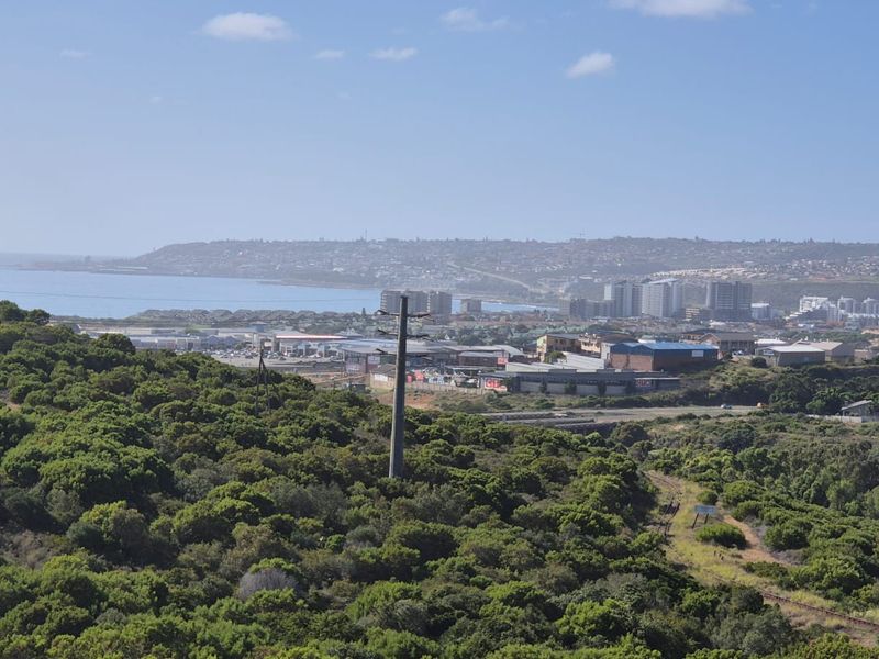 Elevated landscape view overlooking coastal vegetation, urban infrastructure, and the distant coastline.