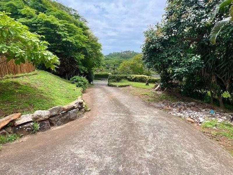 A concrete driveway leading towards the property, flanked by mature trees, lush greenery, and a stone retaining wall.