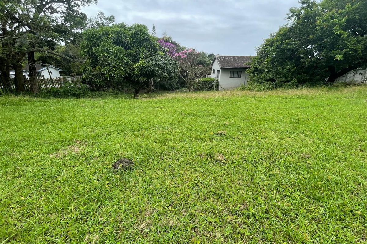 A view of a vacant residential plot featuring established trees and a small existing structure in the background.