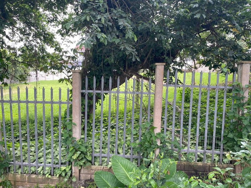 Prime 1,035m2 Vacant Stand – Cleared, Flat & Ready to Develop! - Photo 10