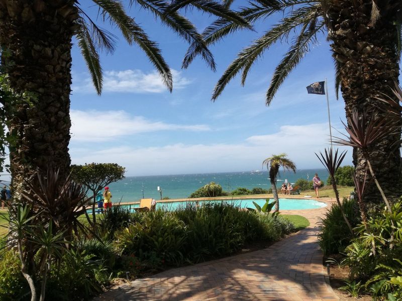 A scenic outdoor pool area featuring a paved walkway, lush landscaping, and expansive ocean views.