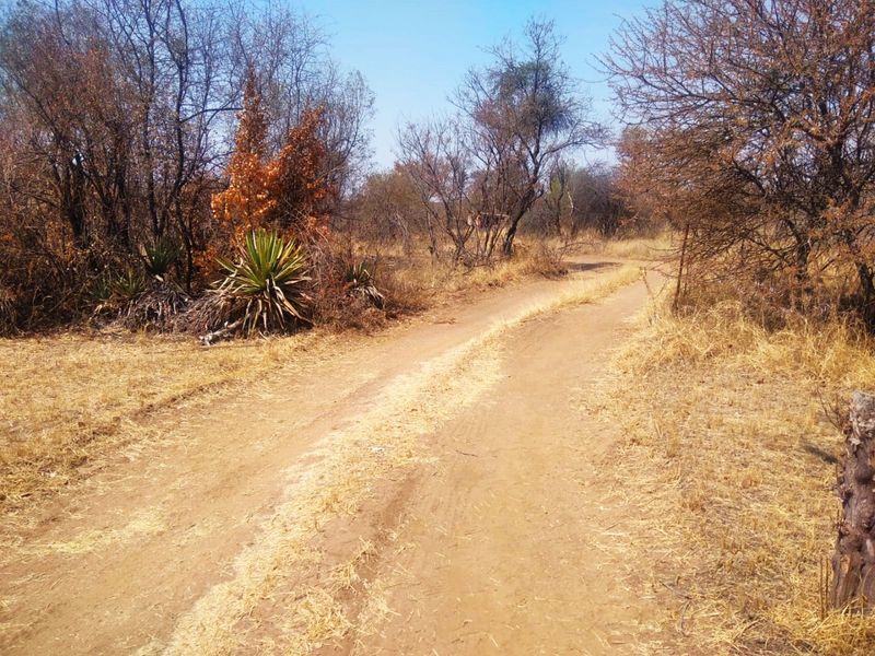 8.5ha Plot for Sale in Bultfontein for only R19.94/m2 - Photo 10