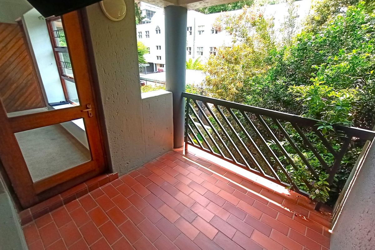 Pet-friendly, north-facing 2 bed/2 bath apartment  - Photo 5