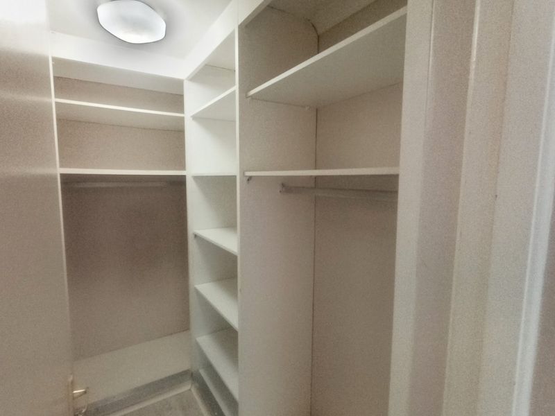 Pet-friendly, north-facing 2 bed/2 bath apartment  - Photo 9