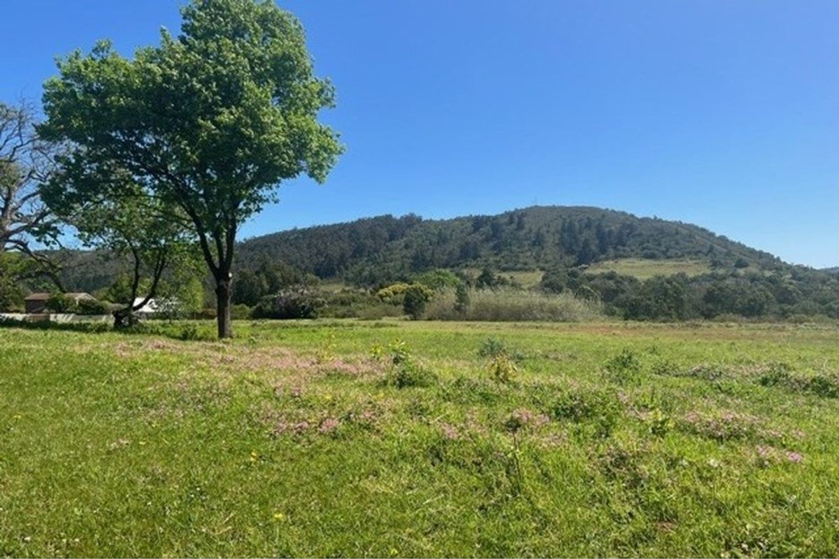 OPPORTUNITY NOT TO BE MISSED on Seven Oaks Estate Wittedrift Plettenberg Bay - Photo 4