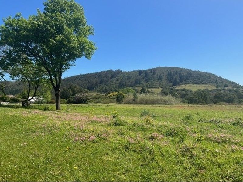 OPPORTUNITY NOT TO BE MISSED on Seven Oaks Estate Wittedrift Plettenberg Bay - Photo 4