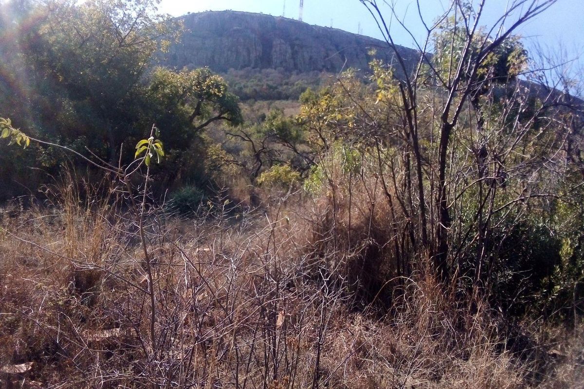 7.4 Hectares small holding on the slopes of the mountains of Magaliesburg - Photo 4