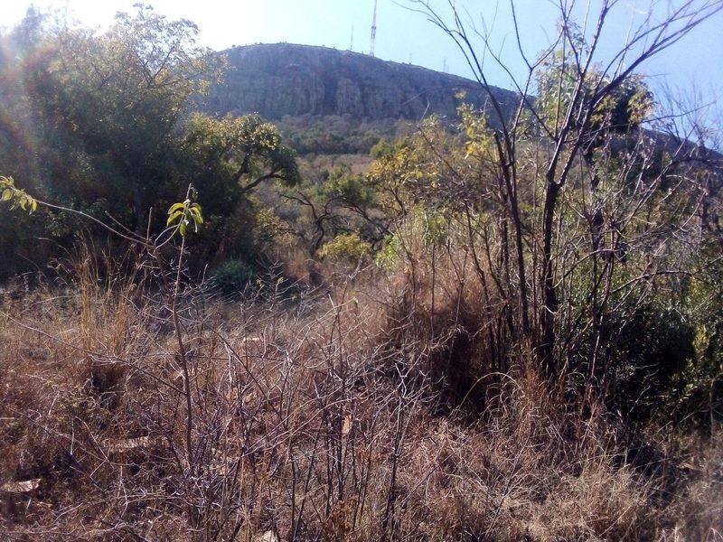 7.4 Hectares small holding on the slopes of the mountains of Magaliesburg - Photo 4