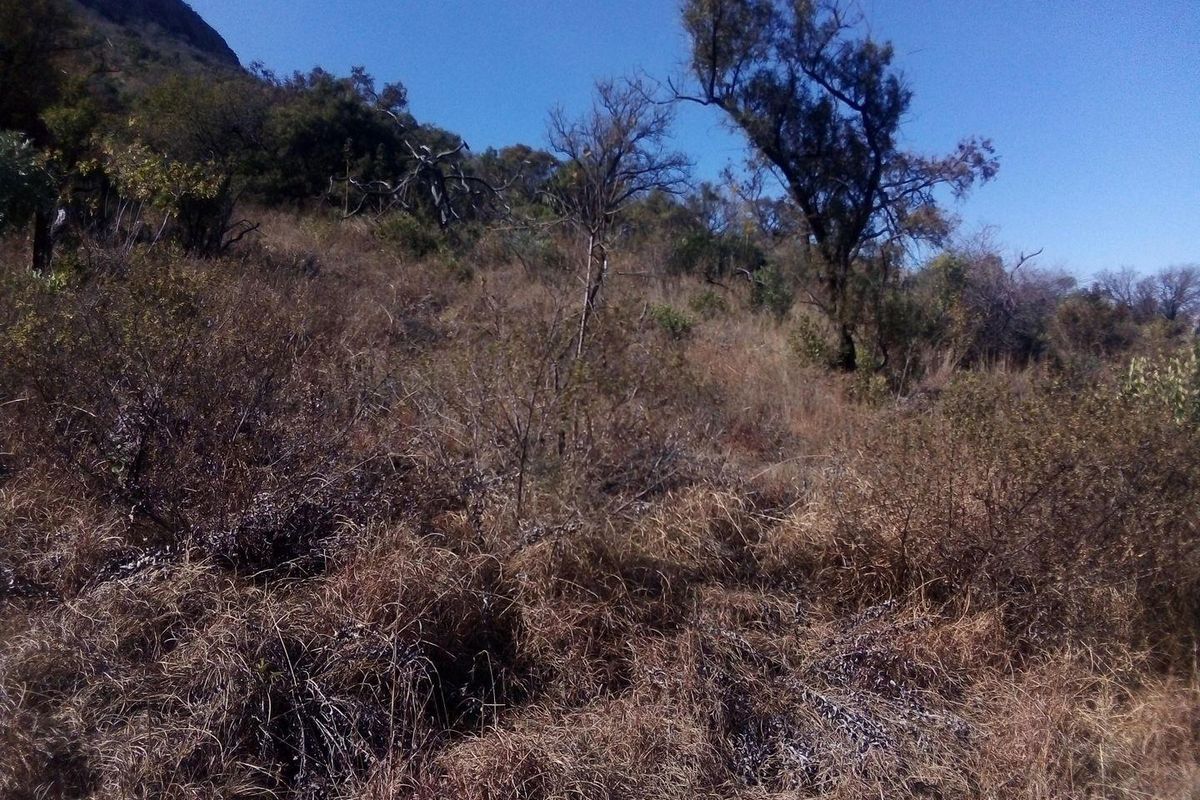7.4 Hectares small holding on the slopes of the mountains of Magaliesburg - Photo 3