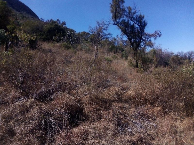 7.4 Hectares small holding on the slopes of the mountains of Magaliesburg - Photo 3