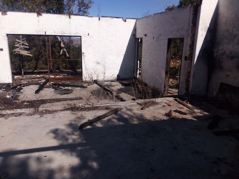 7.4 Hectares small holding on the slopes of the mountains of Magaliesburg - Photo 9