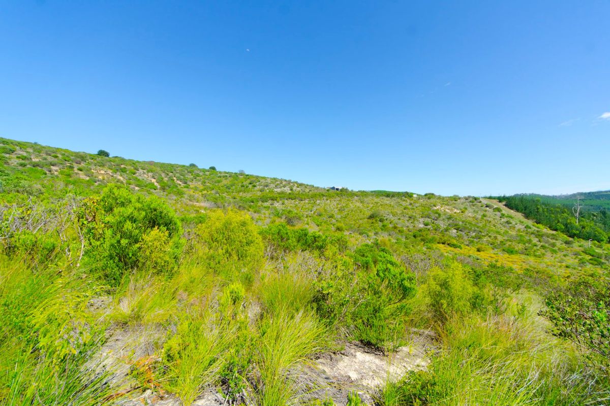 NEW RELEASE : Phase 3 Plots - Photo 4