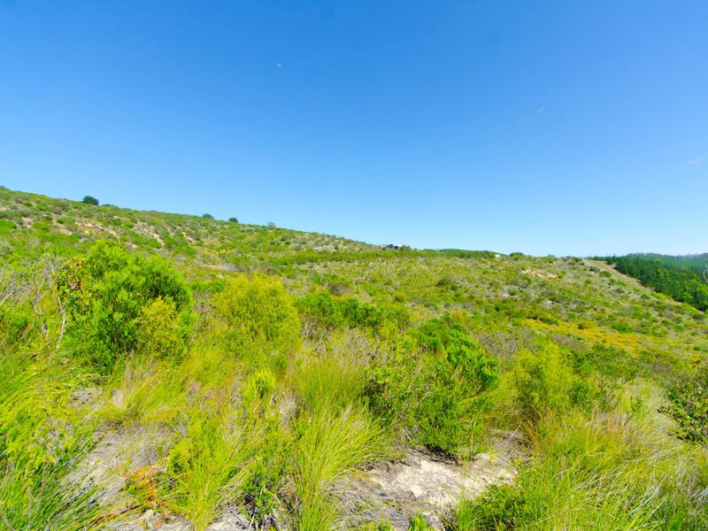 NEW RELEASE : Phase 3 Plots - Photo 4