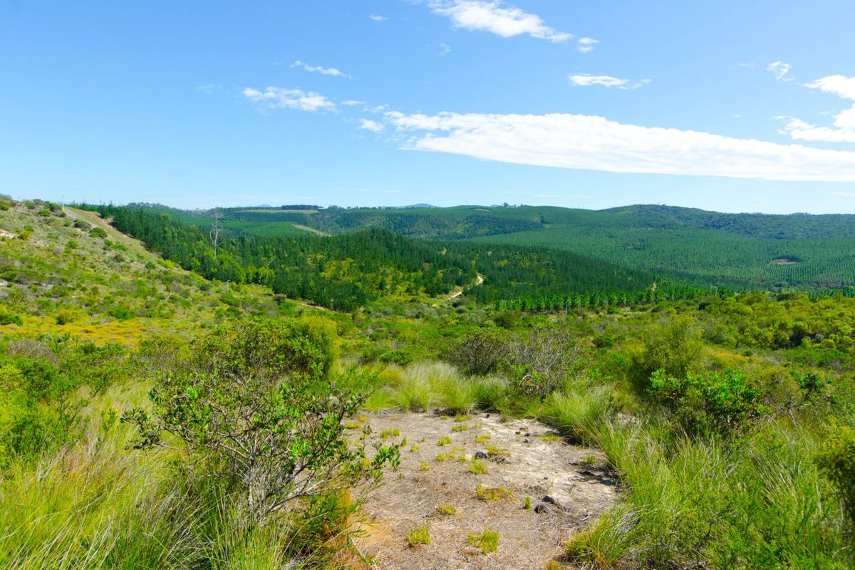 NEW RELEASE : Phase 3 Plots - Photo 3