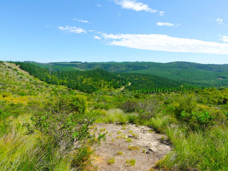 NEW RELEASE : Phase 3 Plots - Photo 3