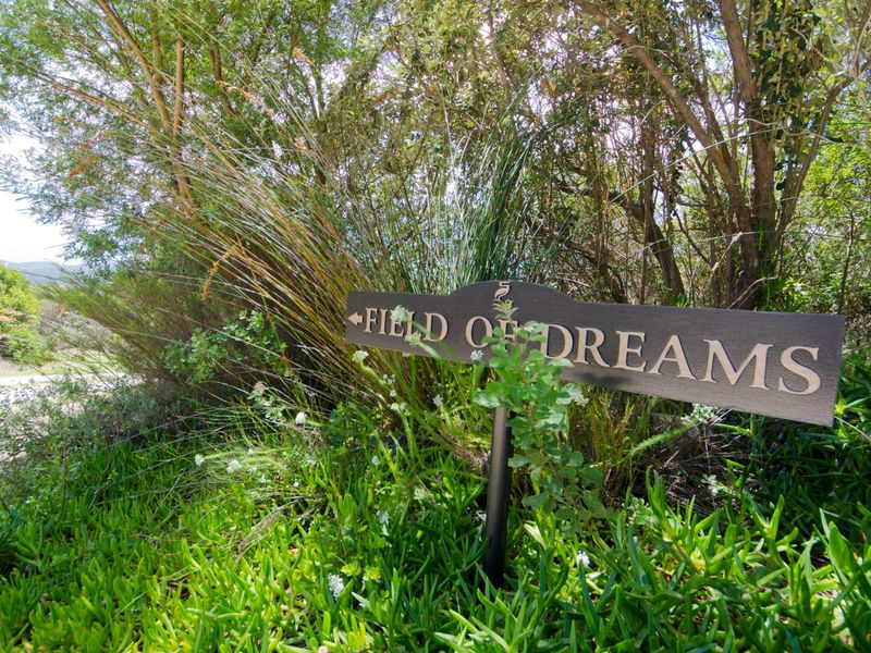 NEW RELEASE : Phase 3 Plots - Photo 6