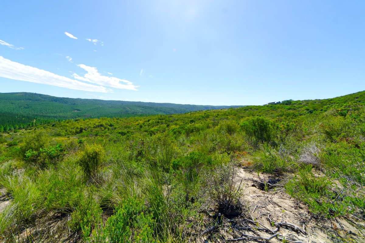 NEW RELEASE : Phase 3 Plots - Photo 2