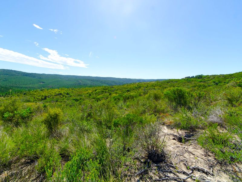 NEW RELEASE : Phase 3 Plots - Photo 2