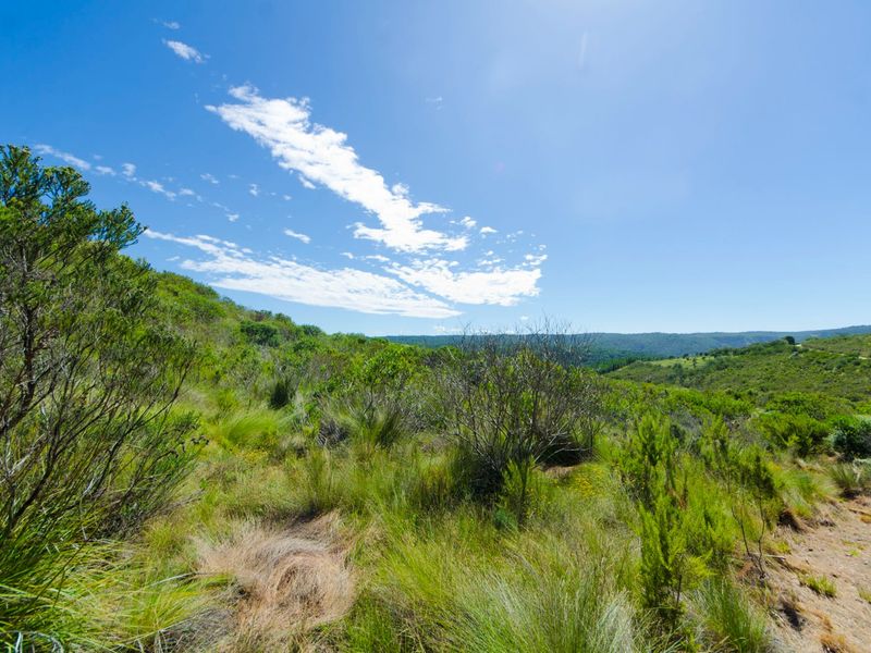 NEW RELEASE : Phase 3 Plots - Photo 3