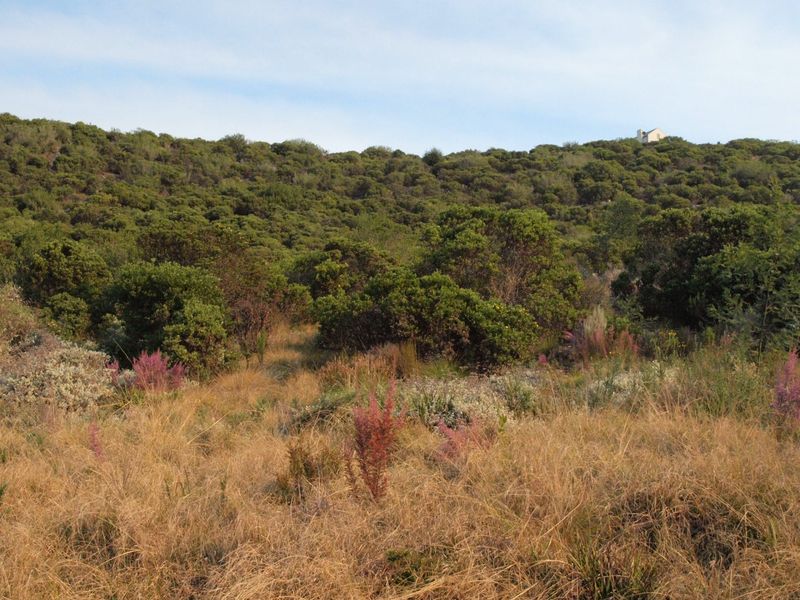 NEW RELEASE : Phase 3 Plots - Photo 5