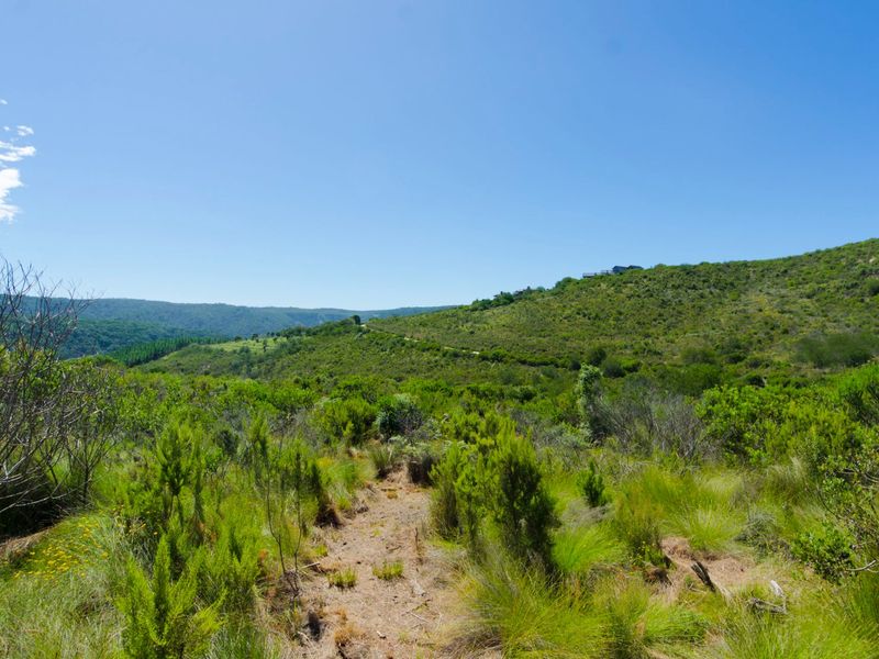 NEW RELEASE : Phase 3 Plots - Photo 2