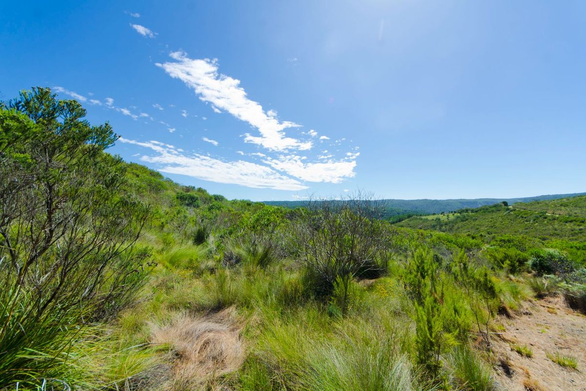 A scenic view of the natural landscape featuring rolling hills and native vegetation on the vacant residential property.