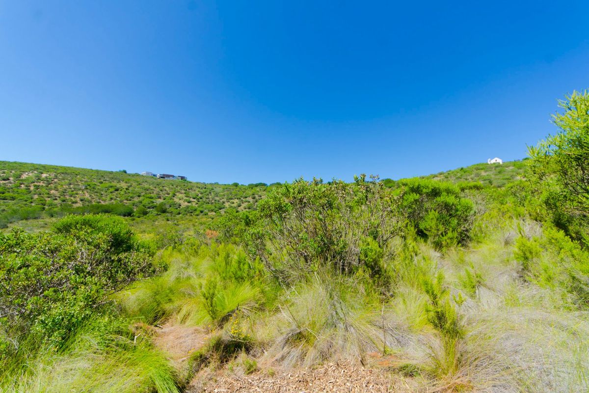 A view of the natural, undeveloped sloped terrain featuring native vegetation and shrubs under a clear blue sky.
