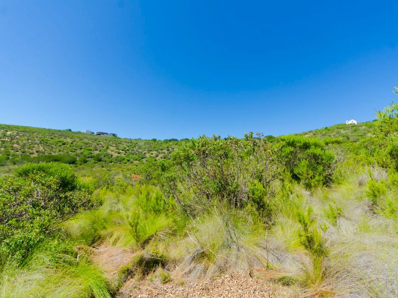 NEW RELEASE : Phase 3 Plots - Photo 1
