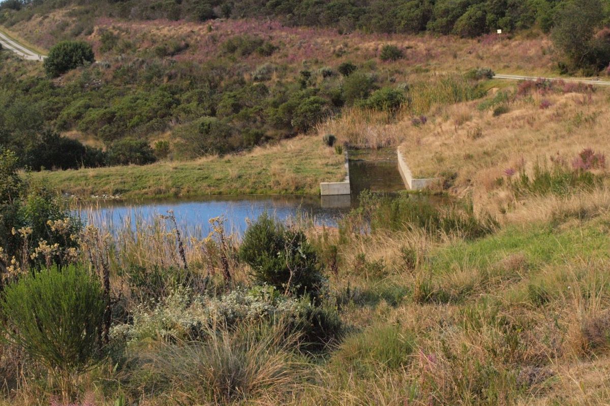 NEW RELEASE : Phase 3 Plots - Photo 5