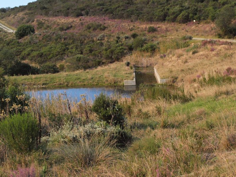 NEW RELEASE : Phase 3 Plots - Photo 5