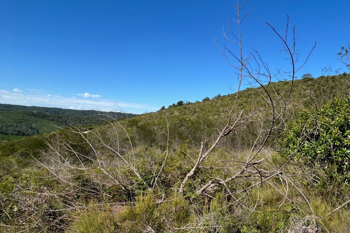 NEW RELEASE : Phase 3 Plots - Photo 3