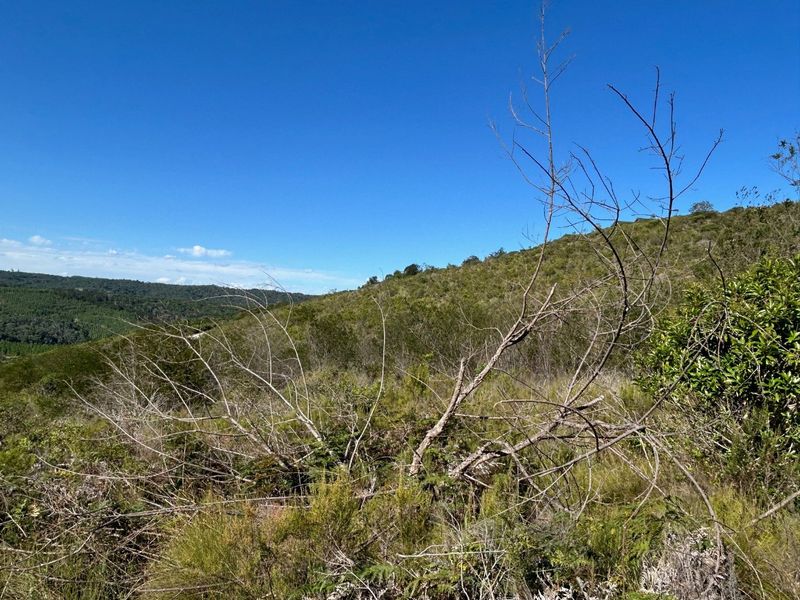 NEW RELEASE : Phase 3 Plots - Photo 3