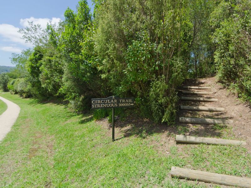 NEW RELEASE : Phase 3 Plots - Photo 6