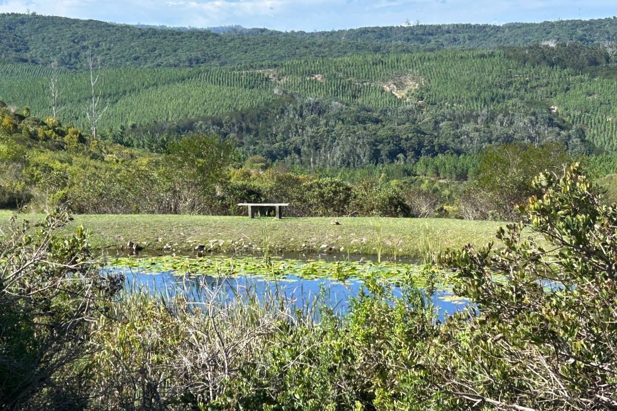 NEW RELEASE : Phase 3 Plots - Photo 4