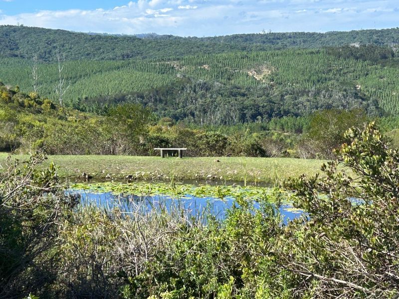 NEW RELEASE : Phase 3 Plots - Photo 4