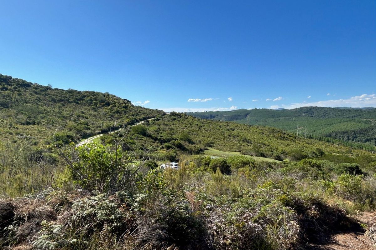 NEW RELEASE : Phase 3 Plots - Photo 2