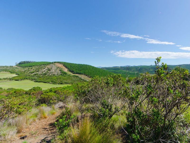 0 Bed Vacant Land in Pezula Private Estate for Sale - Photo 7