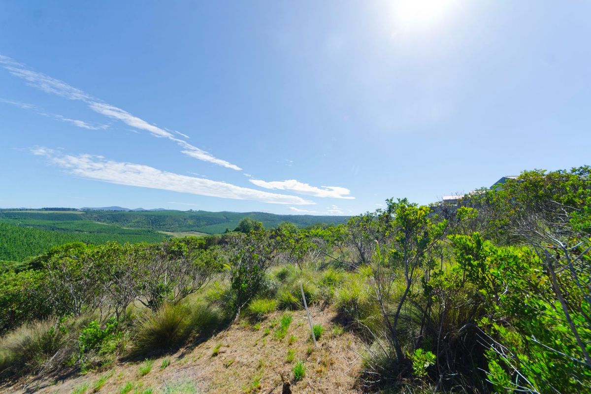 0 Bed Vacant Land in Pezula Private Estate for Sale - Photo 4