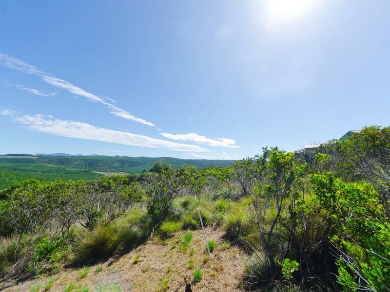 0 Bed Vacant Land in Pezula Private Estate for Sale - Photo 4