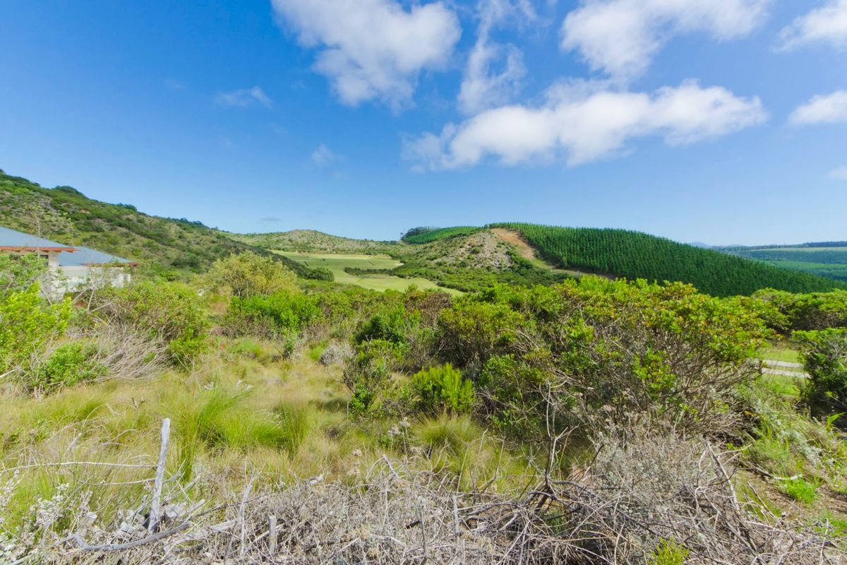 0 Bed Vacant Land in Pezula Private Estate for Sale - Photo 3