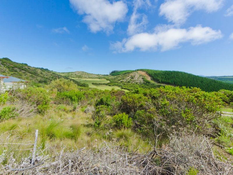 0 Bed Vacant Land in Pezula Private Estate for Sale - Photo 3