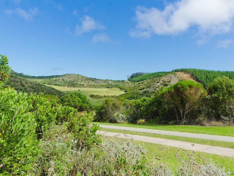 0 Bed Vacant Land in Pezula Private Estate for Sale - Photo 5