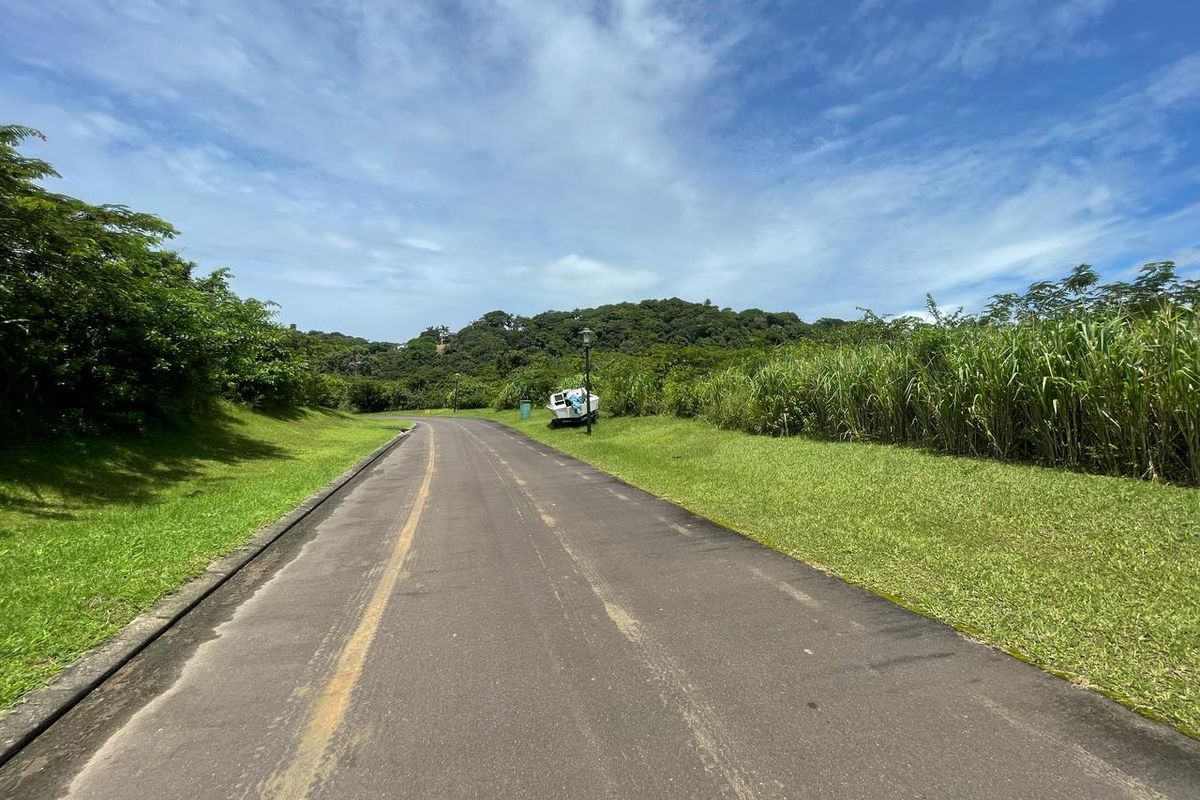 Piece Of Paradise On KZN South Coast - Photo 4
