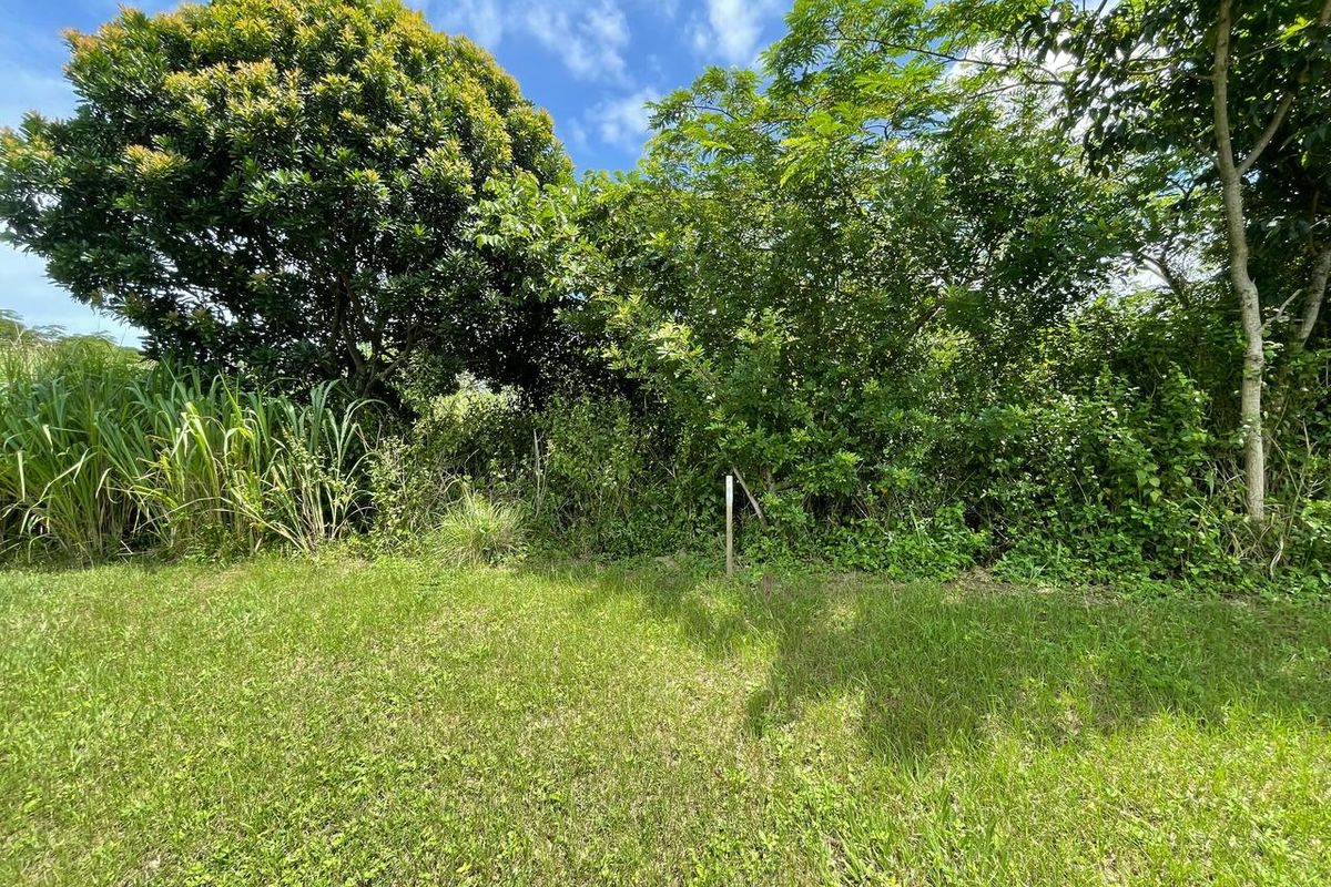 Piece Of Paradise On KZN South Coast - Photo 5