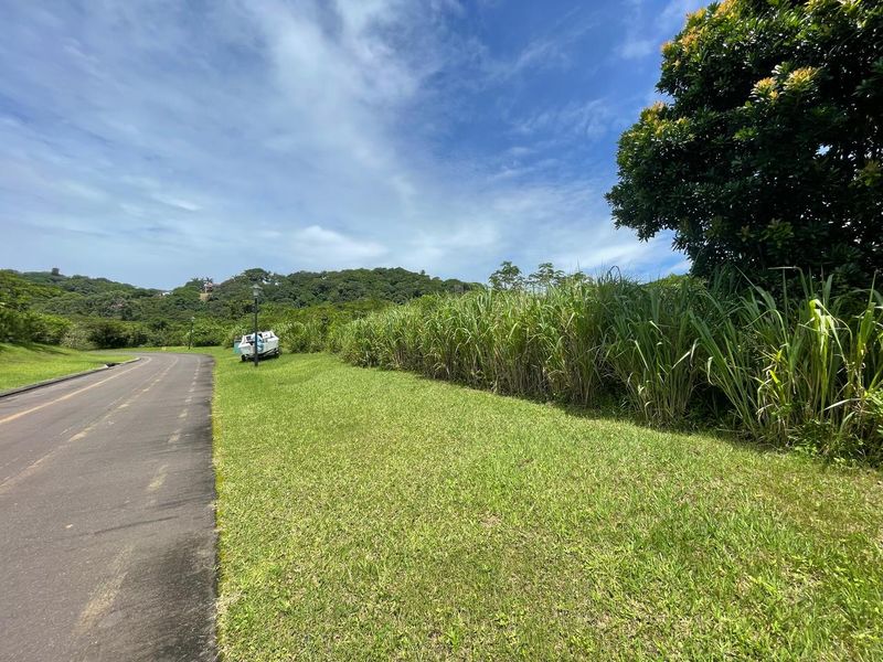 Piece Of Paradise On KZN South Coast - Photo 7