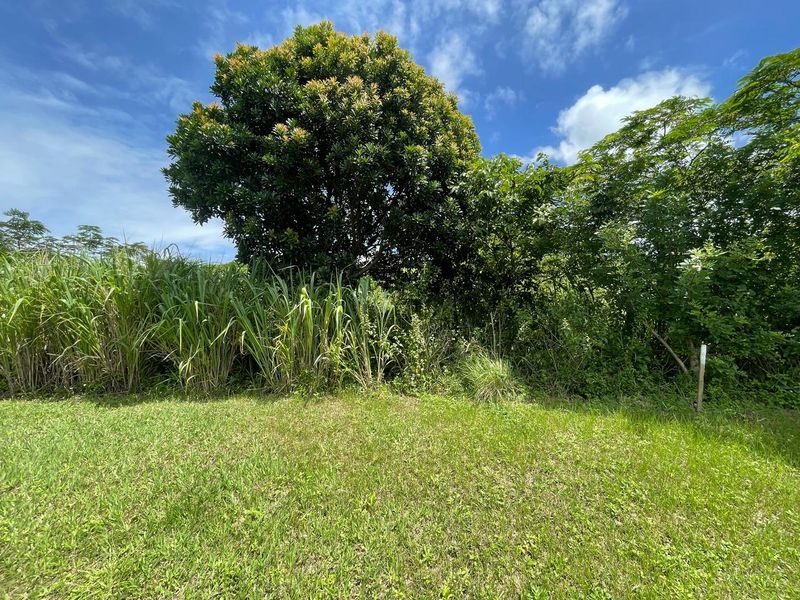 Piece Of Paradise On KZN South Coast - Photo 6