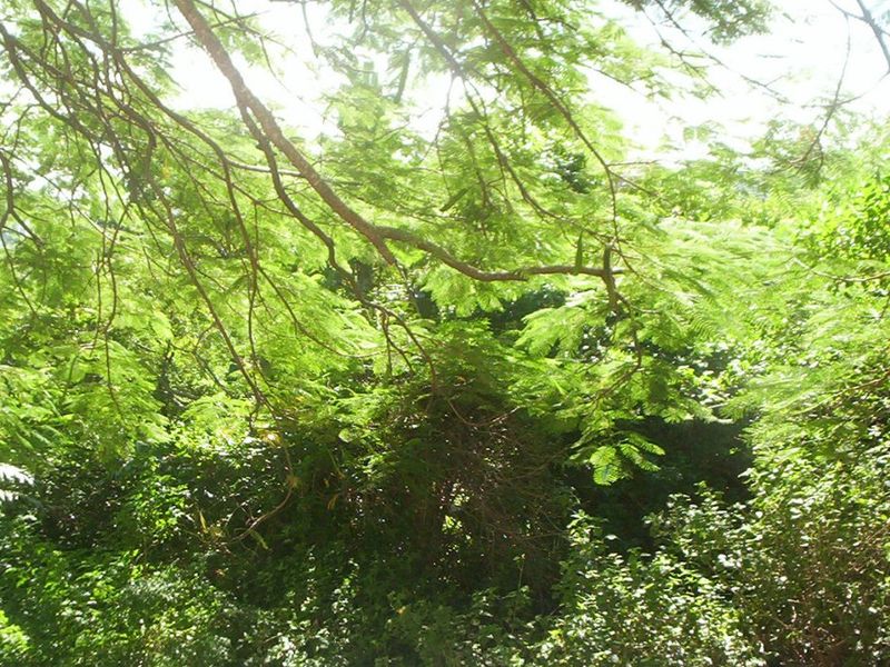 Prime Vacant Land In Leisure Bay - Photo 2