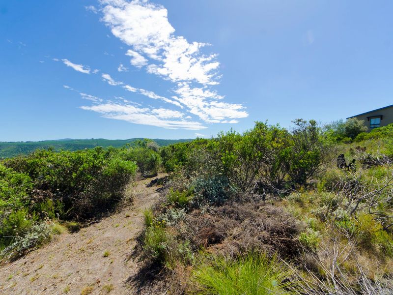 NEW RELEASE : Phase 3 Plots - Photo 2